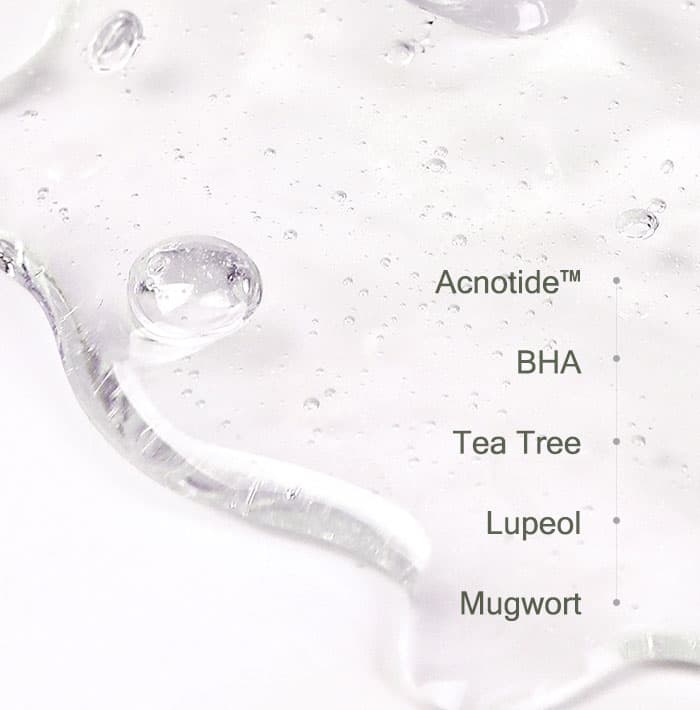 Mizon Goodbye Blemish Low pH Cleanser