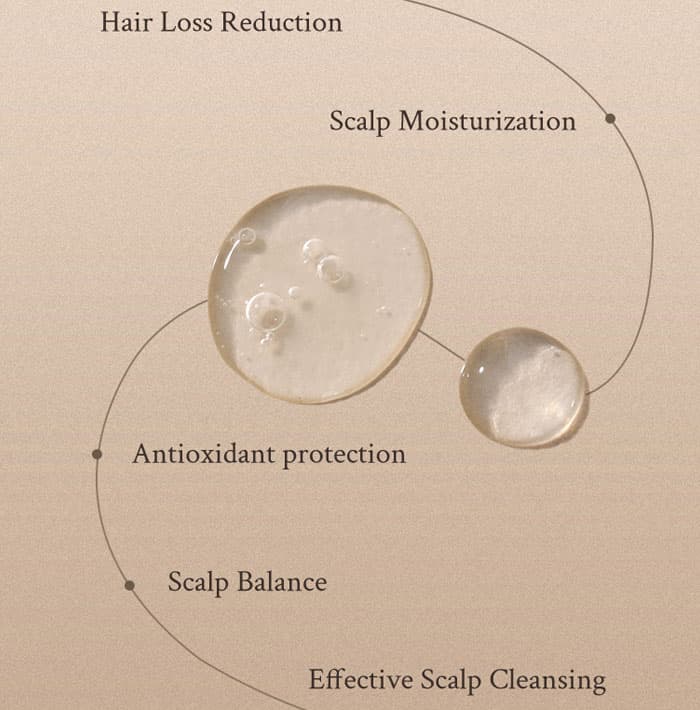 Village 11 Factory Vegan Deep Balance Scalp Shampoo
