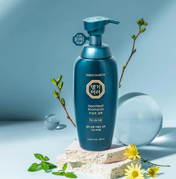 DAENG GI MEO RI Heartleaf Shampoo - 400ml