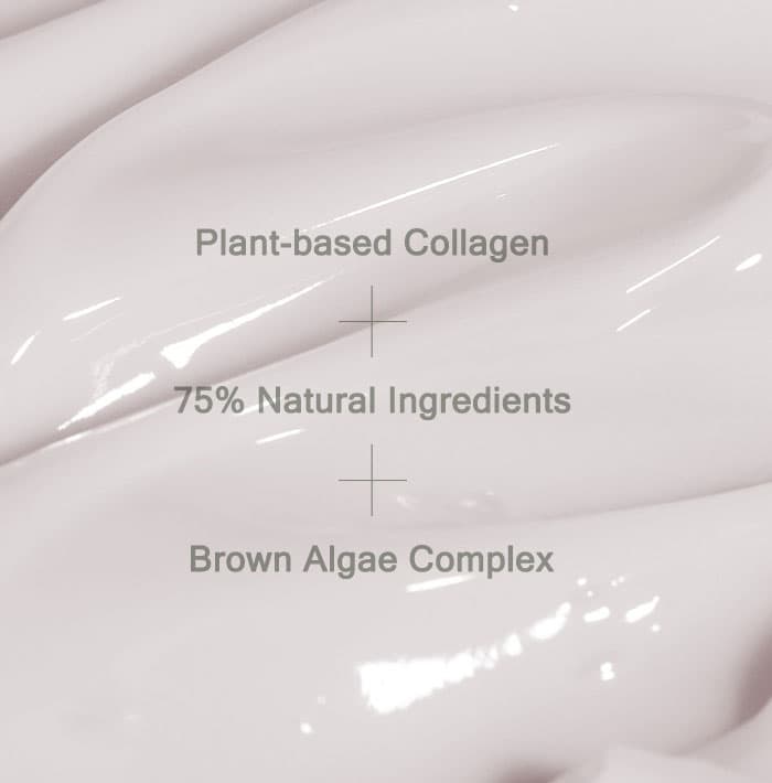 Mizon Phyto Plump Collagen Night Cream