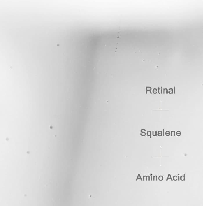 Mizon Youth Cleansing Milk