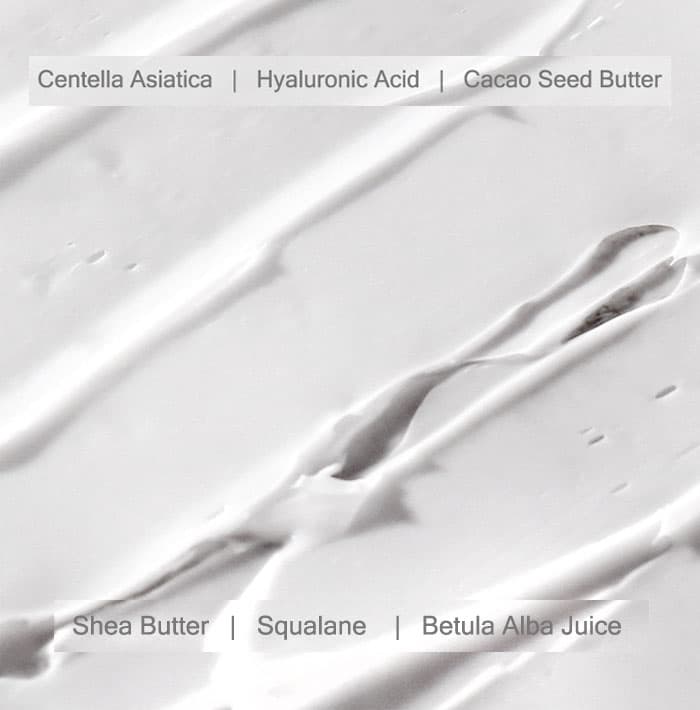 Mizon Cicaluronic Moisturizer
