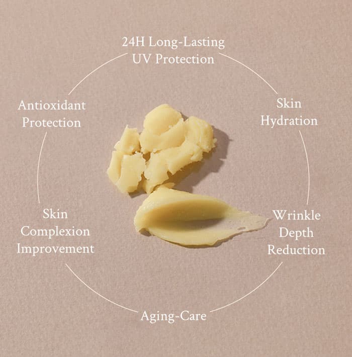 VILLAGE 11 FACTORY DAILY FRESH SUN STICK
