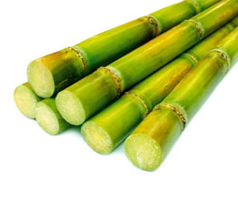 Apple Smoothie Peeling Gel Sugarcane Image