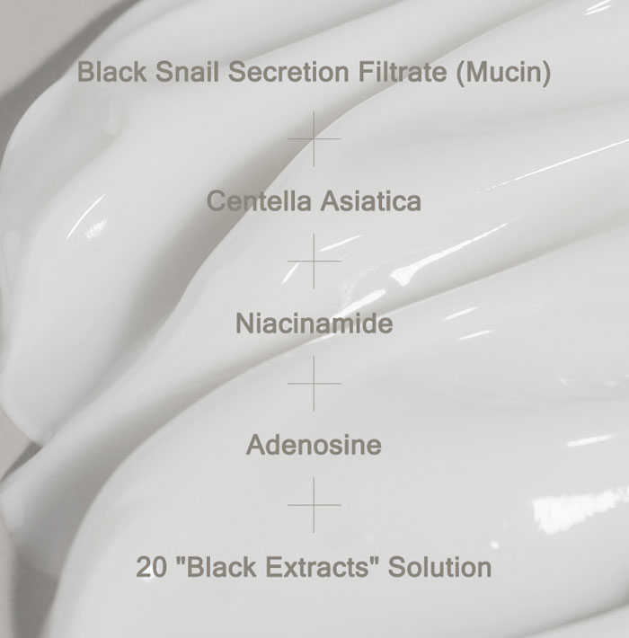 Sonar Mizon Black Snail Cream 05 - Sonar | Korean Skincare