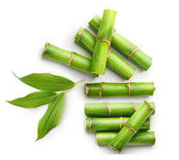 Bamboo Extract Image