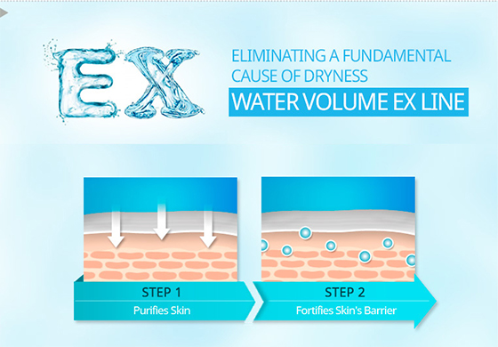 Water Volume Ex Cream Benefits Image